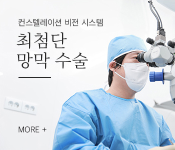 최첨단 망막 기술
